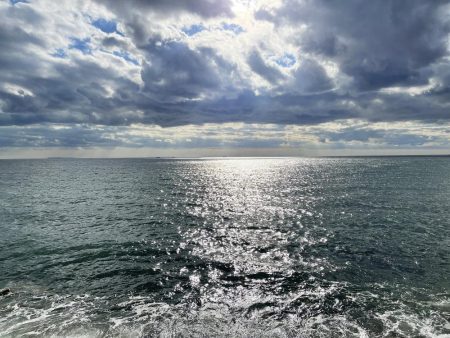 いつもより良型良好!今日もキス釣り!